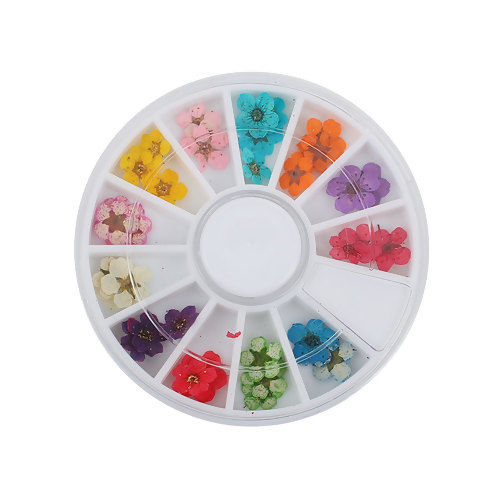 Изображение ABS Пластик Инструмент для Эпоксидной Смолы Круглые Разноцветный Сухие Цветы 60мм, 1 Комплект ( 36 ШТ/Комплект)