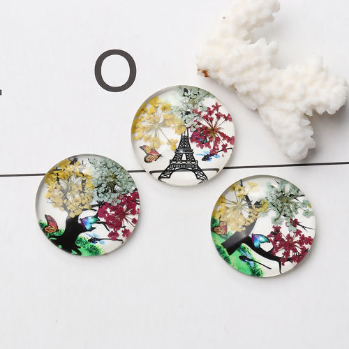 Picture of Glass & Dried Flower Dome Seals Cabochon Round Flatback At Random Mixed Tree Pattern Transparent 30mm(1 1/8") Dia, 3 PCs