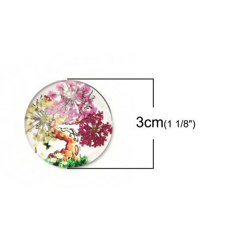 Image de Cabochon Dôme en Verre & Fleurs Séchées Rond Dos Plat Multicolore Arbres Transparent 30mm Dia, 3 Pcs