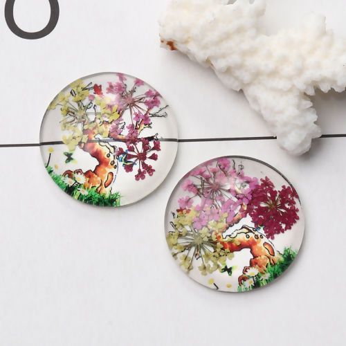 Image de Cabochon Dôme en Verre & Fleurs Séchées Rond Dos Plat Multicolore Arbres Transparent 30mm Dia, 3 Pcs