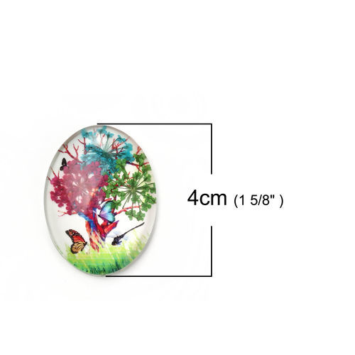 Immagine di Vetro & Fiore Reale Secchi Cupola Dome Seals Cabochon Ovale Flatback A Random Albero Disegno Trasparente 40mm x 30mm, 3 Pz