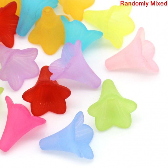 Picture of Frosted Acrylic Beads Lucite Lily Flower At Random Mixed About 22mm x 21mm, Hole: Approx 1.8mm, 50 PCs