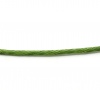 Изображение Вощёные Шнуры для Ожерелья / Браслета 1mm Зеленые, Проданные 80M