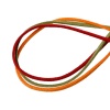 ベルベット フェイクスエード 革紐 革ひも 混合色 2.9mm 直径、 20 本 (約 1メートル/本) の画像