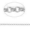 Immagine di Alluminio Collegamenti Tondo Rollo Catena Accessori Tono Argento 6mmDia., 2 M