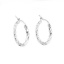 Picture of Stainless Steel Hoop Earrings Spiral Round