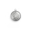 Picture of 304 Stainless Steel Charms Round Disc Silver Tone Fleur-De-Lis 21mm x 18mm, 1 Piece