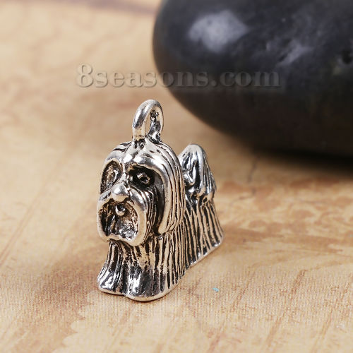 Picture of Zinc Based Alloy Charms Shih Tzu Dog Animal Antique Silver 19mm( 6/8") x 17mm( 5/8"), 5 PCs