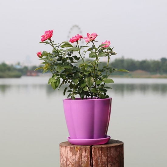 Immagine di Viola - Style1 Vasi da fiori colorati in resina Fioriere rotonde Vassoi da vaso Vasi in plastica Piccoli vasi creativi per piante succulente Decorazioni da giardino