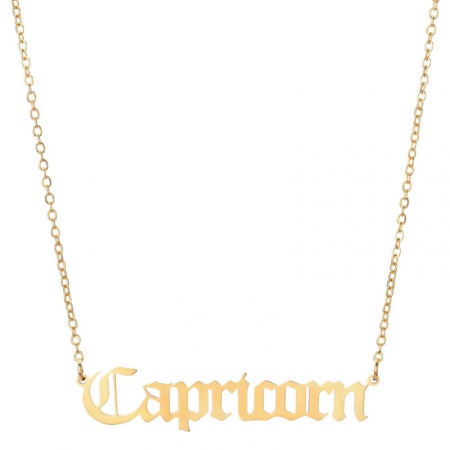 Stainless Steel Necklace Gold Plated Capricornus Sign Of Zodiac Constellations Hollow 45cm(17 6/8") long, 1 Piece