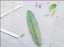 Imagen de Papel Nota adhesiva Verde Hoja 11.5cm x 9cm, 1 Unidad (Aprox 1 Unidades)