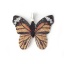 Immagine di Ottone Ciondoli Farfalla Argento Placcato Arancione 31mmx 28mm, 2 Pz