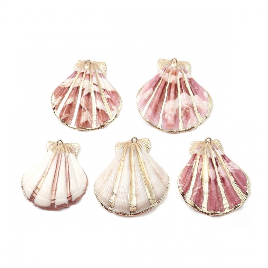 Picture of Natural Shell Charms At Random 