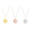 Picture of Stainless Steel Necklace Dandelion