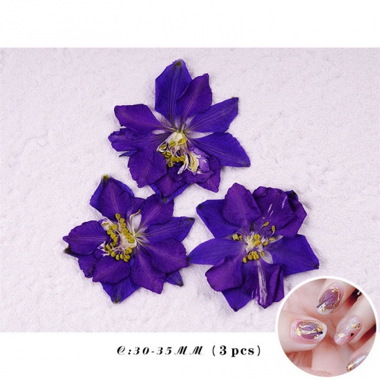 Picture of Real Dried Flower Nail Art Decoration DIY Craft Hot Pink 1 Set ( 5 PCs/Set)