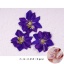 Picture of Real Dried Flower Nail Art Decoration DIY Craft Hot Pink 1 Set ( 5 PCs/Set)