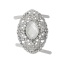 Picture of Shoe Clips Buckles Accessory Oval Silver Tone Clear Rhinestone Faceted 3.8cm x 3.7cm(1 4/8" x1 4/8"),2PCs