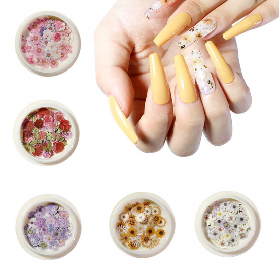 Picture of Wood Pulp Nail Art Decoration DIY Craft Rose Flower Multicolor 1 Box ( 50 PCs/Box)