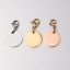 Picture of Stainless Steel Keychain & Keyring Round Blank Stamping Tags 1 Piece