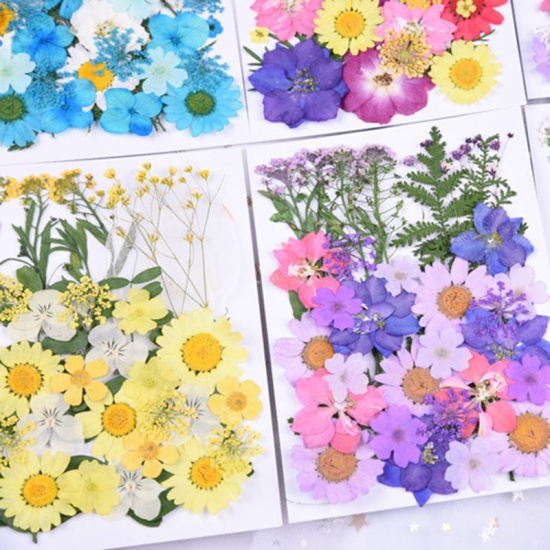 Picture of Real Dried Flower Resin Jewelry Craft Filling Material