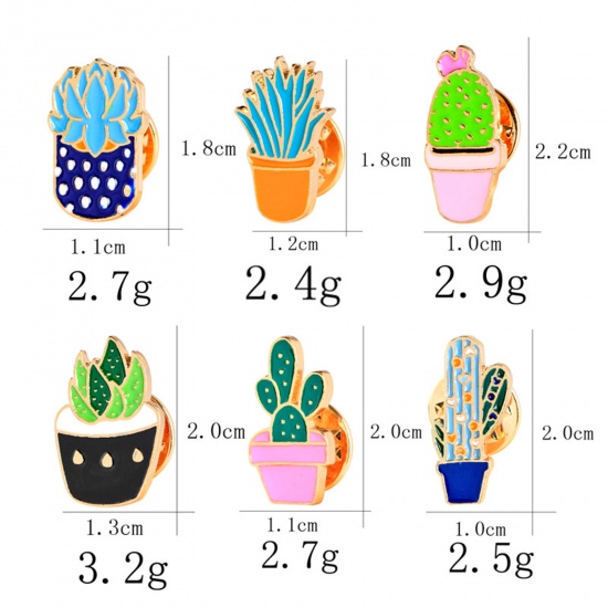 Picture of Pin Brooches Succulent Plant Multicolor 1 Piece