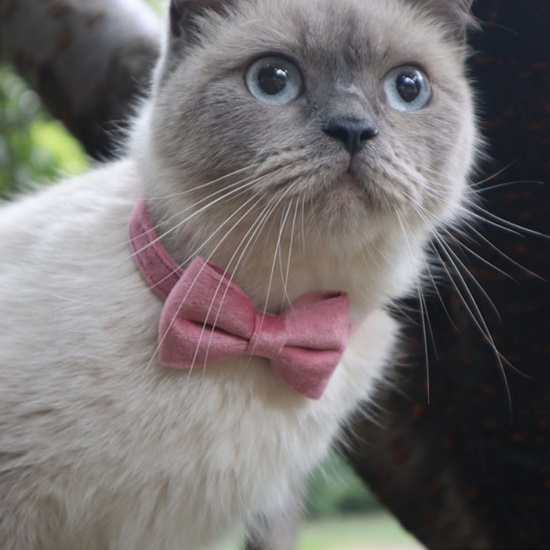 Image de Marron - Collier De Chat En Velours Colliers De Chihuahua De Couleur Unie Pour Chiot Avec Cloche Boucle De Sécurité Réglable Accessoires Pour Animaux De Compagnie 28 Cm De Long, 1 Pièce