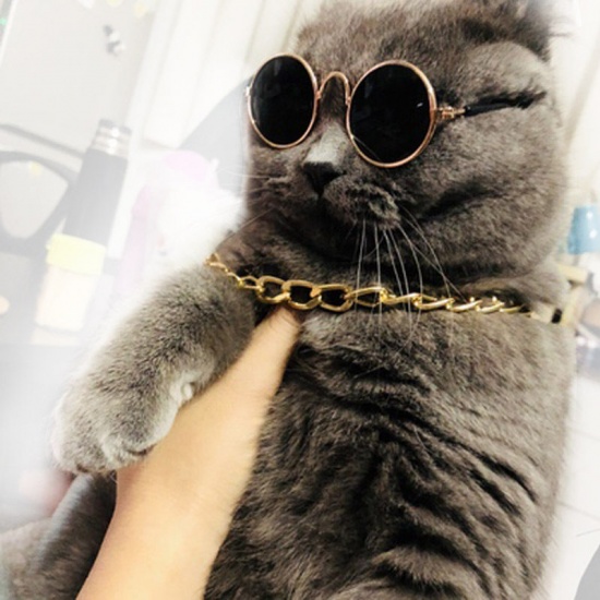 Bild von Sonnenbrille & Halskette & Krawatte & Strohhut 4 Stück Set Hund Katze Haustier liefert lustige Foto Requisiten