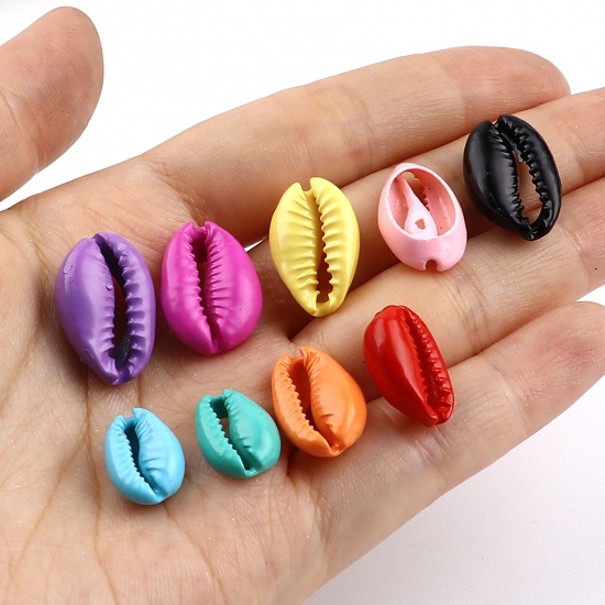 Picture of Natural Shell Charms Shell Fuchsia 18mm x 12mm - 13mm x 9mm, 20 PCs