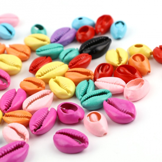 Picture of Natural Shell Charms Shell Fuchsia 18mm x 12mm - 13mm x 9mm, 20 PCs