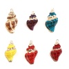 Picture of Natural Shell Pendants Conch/ Sea Snail Dyed