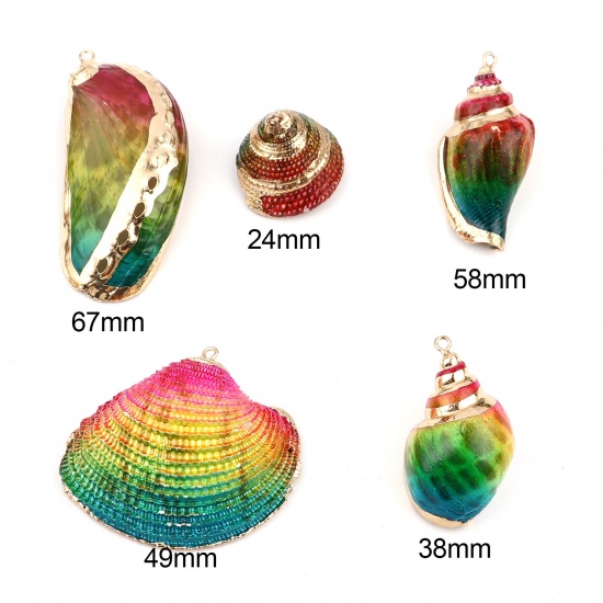Image de Pendentifs Naturel en Coquille Escargot de Mer Doré Multicolore Coloré 38mm x 24mm-2.9x1.6cm, 2 Pcs