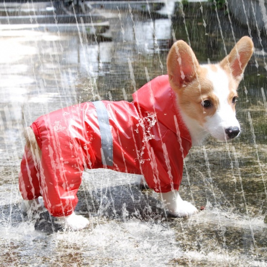 Immagine di Yellow - Pet Waterproof Raincoat Reflective Breathable Jumpsuit 2XL, 1 Piece