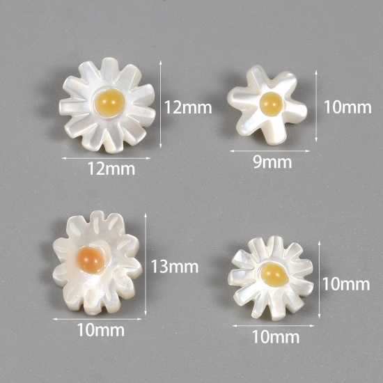 Picture of Natural Shell Loose Beads Chrysanthemum Flower White & Yellow Hole:Approx 0.7mm, 1 Piece
