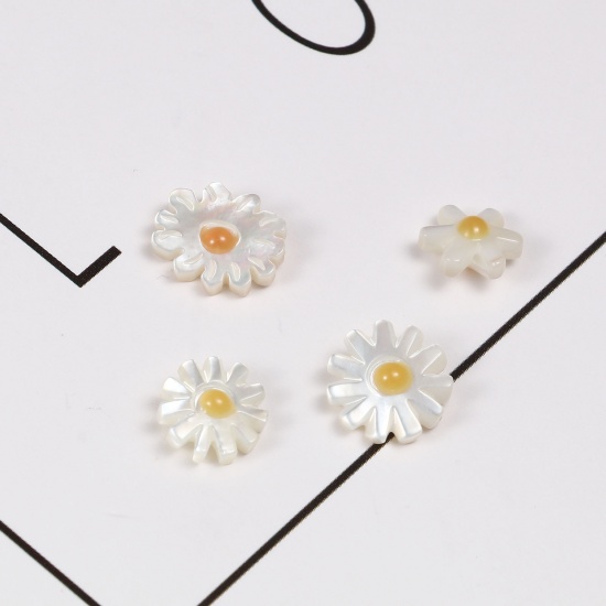 Picture of Natural Shell Loose Beads Chrysanthemum Flower White & Yellow Hole:Approx 0.7mm, 1 Piece