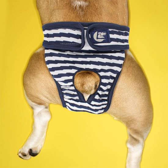 Bild von Einstellbare selbstklebende Haken & Schleife Sommer Baumwolle Streifen Sanitär Pantie Physiologische Hosen Haustier Unterwäsche Windel für Mädchen Hund