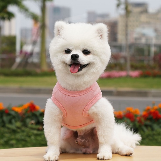 Immagine di Summer Cotton Vest Pet Clothes For Cat Dog Solid Color