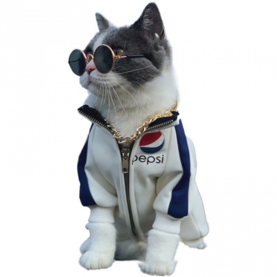 Bild von Transparent - Schöne Katze Hund Brille Brille Sonnenbrille Haustier Produkte für kleine Hund Katze Fotos Prop 8x3.2cm, 1 Stück