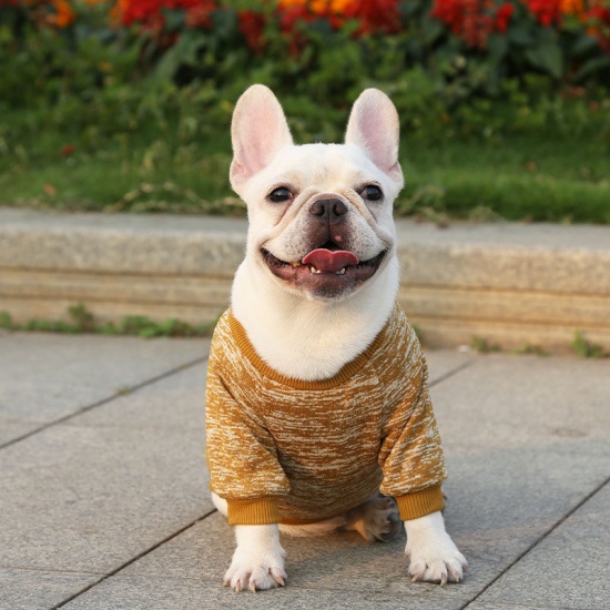 Picture of Polyester Pet Clothes Multicolor