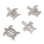 Image de Breloques en Acier Inoxydable Bijoux d'Océan Tortue de Mer Argent Mat 5 Pcs