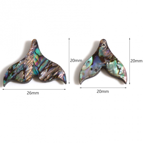 Picture of Abalone Shell Charms Fishtail Multicolor 26mm x 20mm, 2 PCs