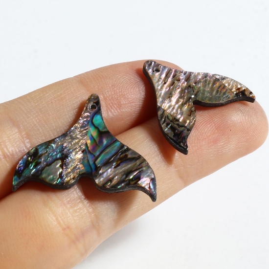 Immagine di Orecchia di Mare Conchiglia Charms Fishtail Multicolore 26mm x 20mm, 2 Pz