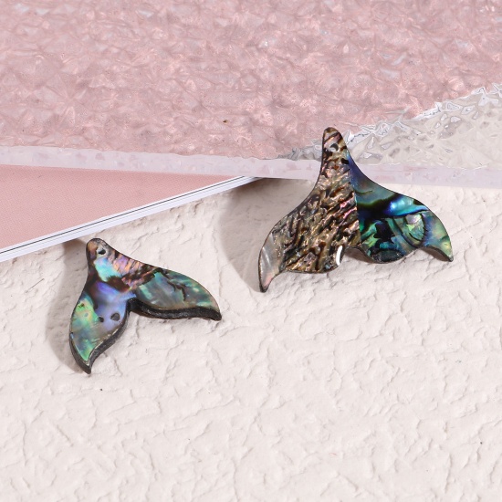 Immagine di Orecchia di Mare Conchiglia Charms Fishtail Multicolore 26mm x 20mm, 2 Pz