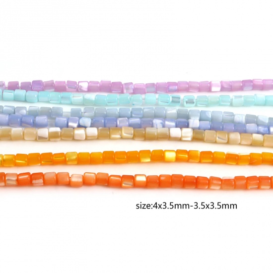 Immagine di Conchiglia Sciolto Perline Cilindrico Multicolore Tinto Lunghezza: 4mm, Larghezza: 3.5mm, Foro:Circa 1mm, lunghezza: 40.5cm - 40cm 1 Filo （Circa 112 Pezzi/Treccia)