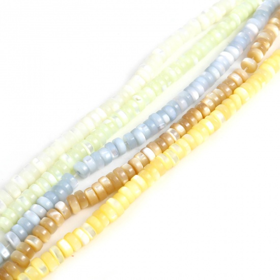 Immagine di Conchiglia Sciolto Perline Tondo Multicolore Tinto Circa 5mm Dia, Foro:Circa 1mm, lunghezza: 40.5cm - 40cm 1 Filo （Circa 175 Pezzi/Treccia)