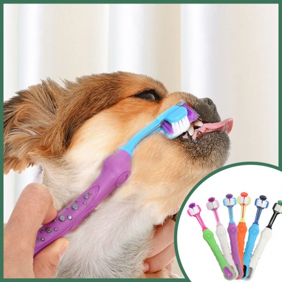 Picture of Orange - Multi-ngle Cleaning Oral Cavity Cleaning Tooth Cat Dog Toothbrush Pet Supplies 17.3x2.6cm, 1 Piece