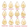 Picture of Stainless Steel Birth Month Flower Charms Geometric Multicolor January 13.9mm x 9mm, 1 Piece