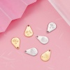 Picture of Stainless Steel Birth Month Flower Charms Geometric Multicolor January 13.9mm x 9mm, 1 Piece