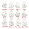 Picture of Stainless Steel Birth Month Flower Charms Geometric Multicolor January 13.9mm x 9mm, 1 Piece