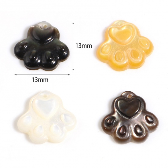 Picture of Natural Shell Charms Paw Claw Multicolor 13mm x 13mm, 1 Piece
