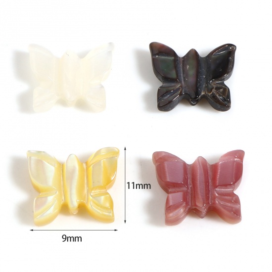 Picture of Insect Natural Shell Loose Beads Butterfly Animal Multicolor About 11mm x 9mm, 1 Piece